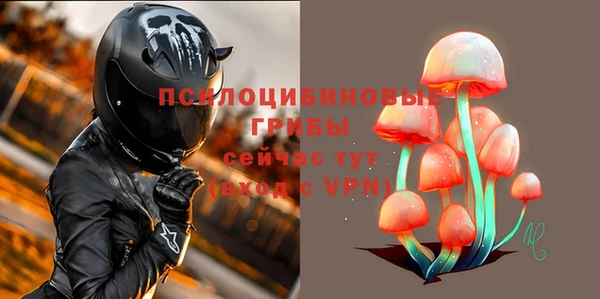 мескалин Арсеньев