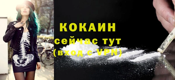 индика Армянск